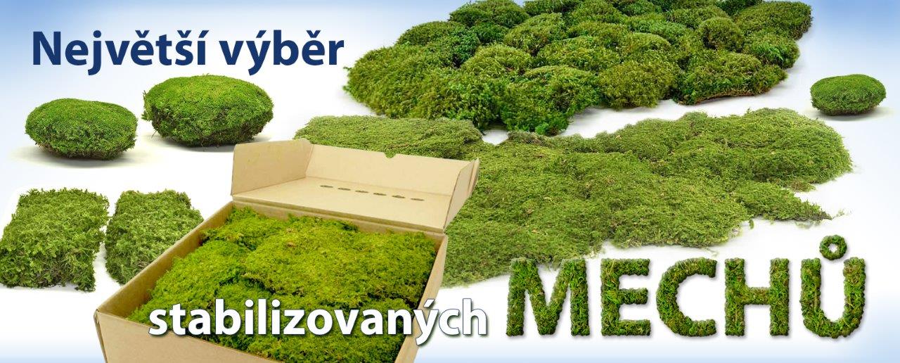 Největší výběr stabiizovaných mechů