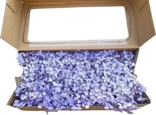Stabilizovaná hortenzie, Hydrangea stabilizovaná box  fialová 100 g