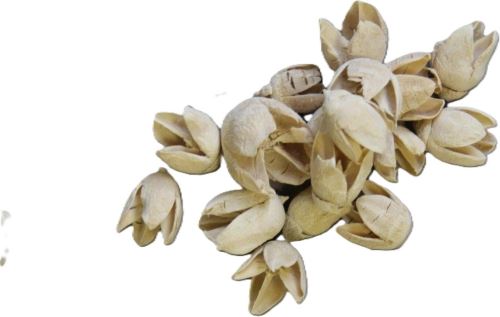 Sušené květiny Baculi, 20 g, bílé