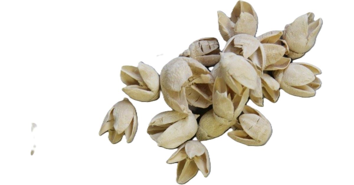 Sušené květiny Baculi, 20 g, bílé| Florservice.cz