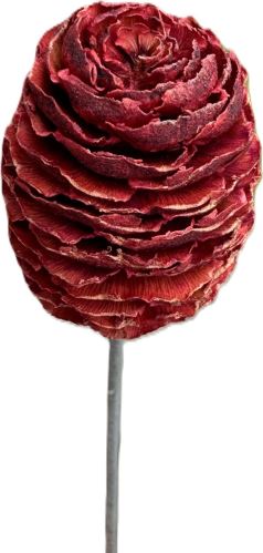 Sabulosum 10 cm červené na drátku