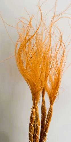 Stipa oranžová