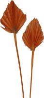 Palm spear mini color orange
