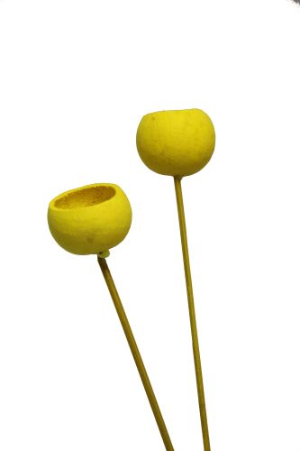 Bell cup mini blch o/s bílá