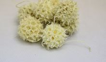 Sušené květiny Ambernut bleached loose, 200 g, bělené