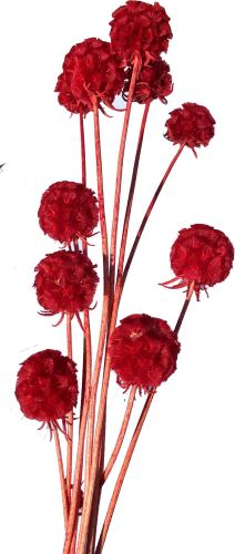 Pinwheel fruit, svazek 10 ks - červená