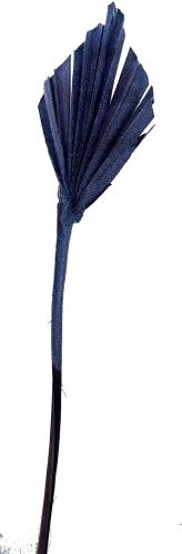 Palmspeer Mini Beflockung grau
