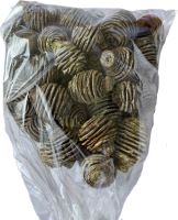 Platyspernum loose frosted žltá 1 kg (1)