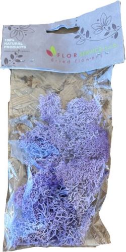 Isländisches stabilisiertes Moos 20gr violett