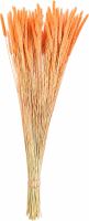 Phleum oranžová 80 g
