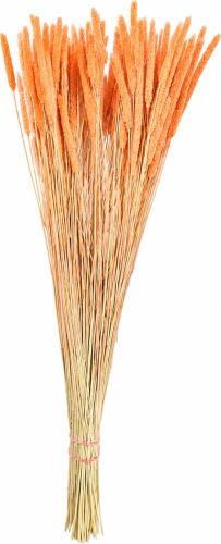 Phleum oranžová 80 g