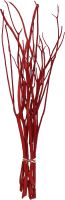Misumata 45-60cm