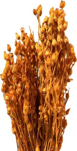 Silene oranžová 100 g