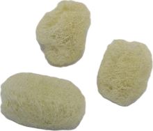 Luffa 6 - 8 cm mini bílá, 30 ks