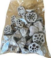 Lotus klein 4-6 cm beflockt weiß (1)
