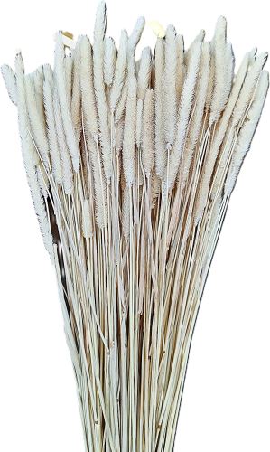 Phleum - sušený bojínek bílá 100 g