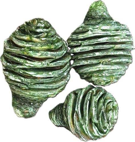 Platyspernum loose frosted green1 kg Platyspernum loose frosted green1 kg