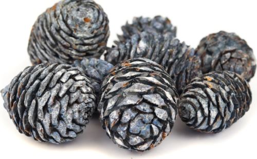 Sušené šišky, Muirii frosted loose lagoon, 500 g