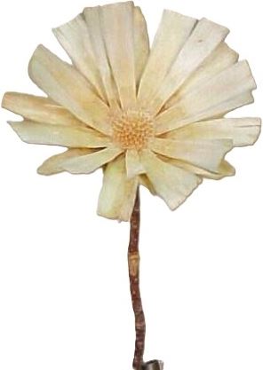 Supercut large blanched o/s