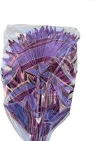 Palm sun spear col. Frosted (1)