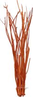 Misumata 45-60cm
