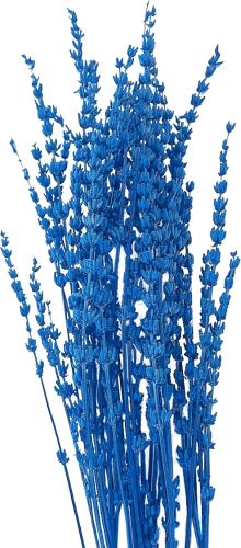 Stabilizovaná levandule 80 g - modrá