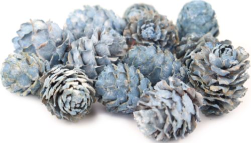 Sušené šišky Salignum frosted lagoon 250 g