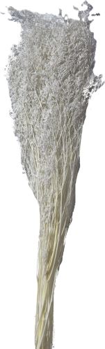 Caspia 100 g - bielená