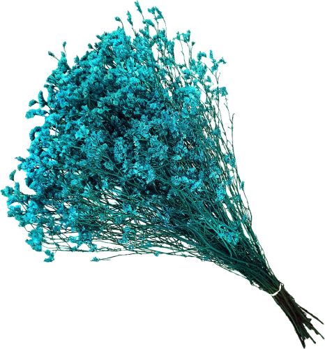 Limonium sinensis stabilizovaná tyrkysová