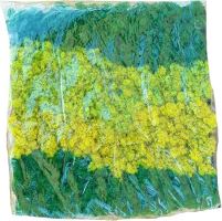 Panel stabilizovaný islandský machový mix zelená 50*50 cm (1)