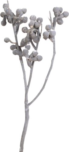 Pilzgummistein gewaschen