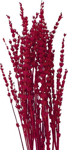 Stabilizovaná levandule 80 g - červená