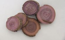 Brennholz gefärbt BATCH lila
