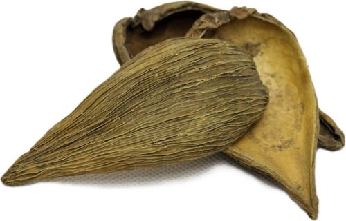 Sušina Pradeep, 20 g, hnedá