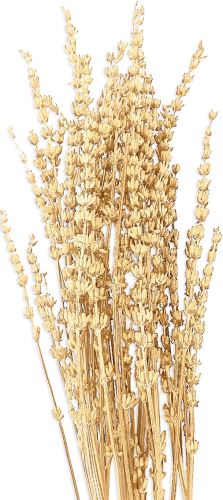 Stabilizovaná levandule 80 g - bělená