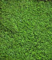 Plochý flat stabilizovaný mach zelená klasik, balenie 0,45 m2