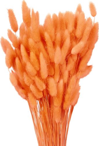 Sušený lagurus lososový 80 g