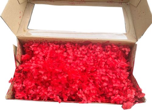 Stabilizovaná horteznie, Hydrangea stabilizovaná box červená 100 g