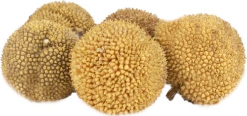 Platanus natural loose 250 g