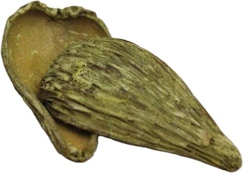 Pradip frosted yellow 500gr