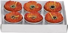 Candle poppy box 6 pcs orange