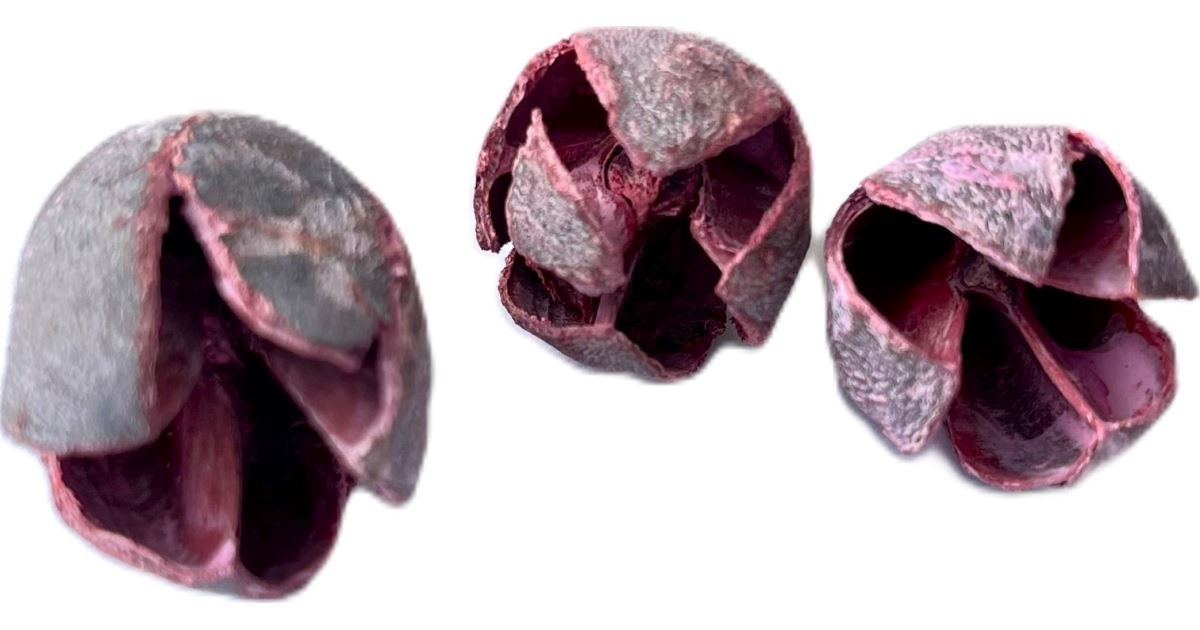 Baculi frosted red 500 gr.| Florservice.cz