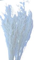 Caspia 100 g - bělená (1)