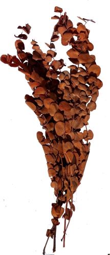 Eucalyptus big soft, 120 g - oranžová