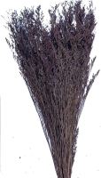 Caspia 100 g - fialová (1)