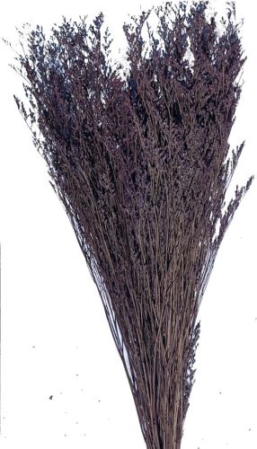 Caspia 100 g - fialová (1)