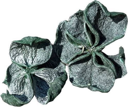 Indická sušina Land lotus frosted color zelený, 20 ks (1)