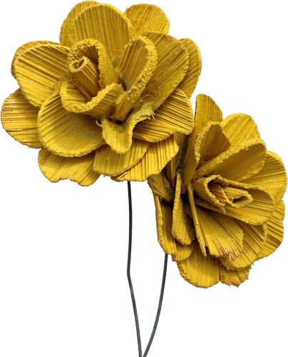 Betal rose 6 cm