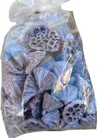 Lotus medium frosted purple (1)