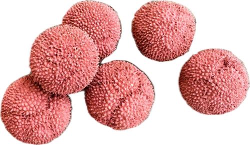 Platanus ruby loose 250 gr. Platanus ruby loose 250 gr.